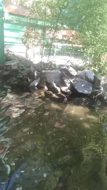 Заветное