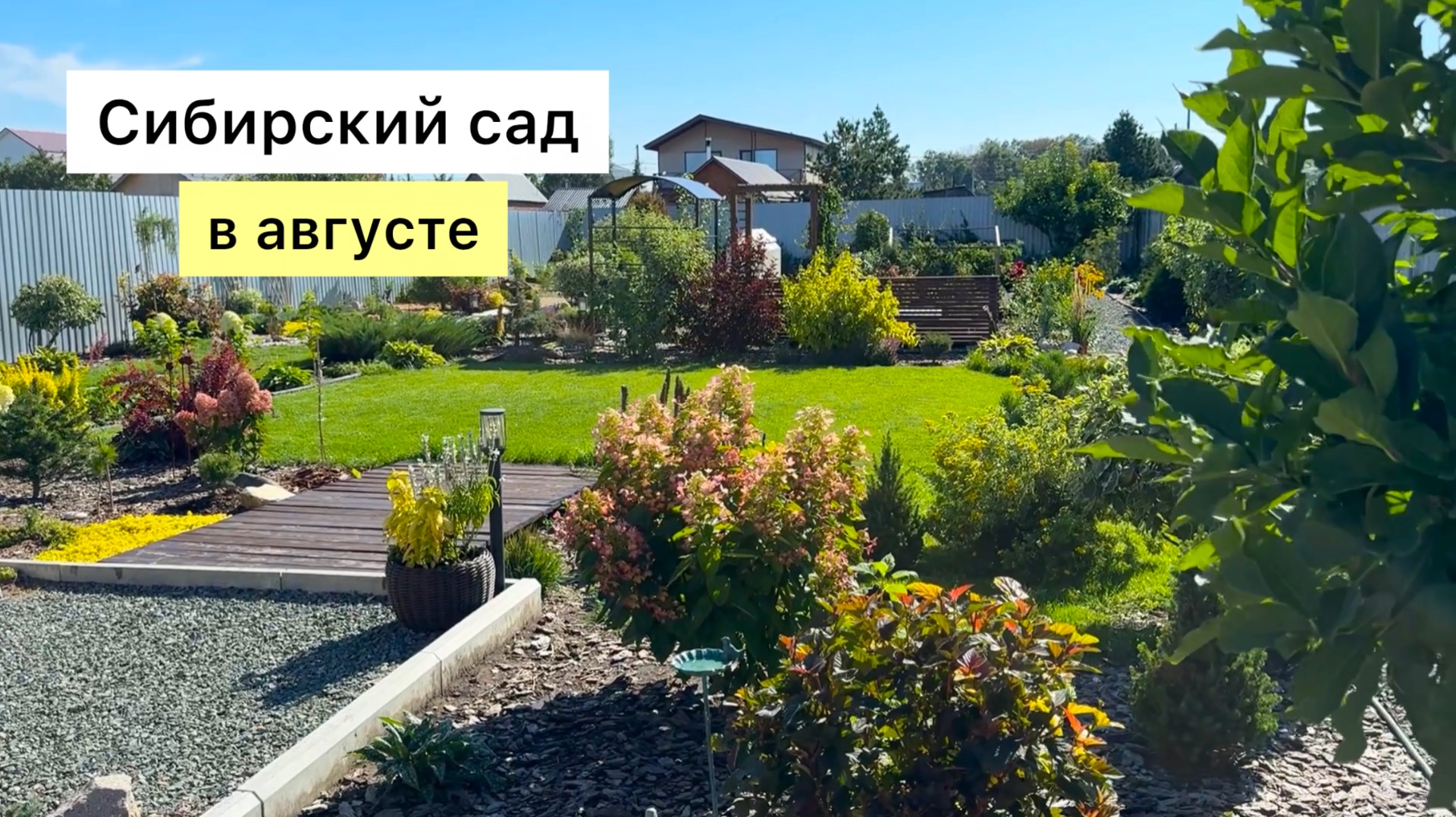 Прогулка по саду в августе! Осень на пороге!