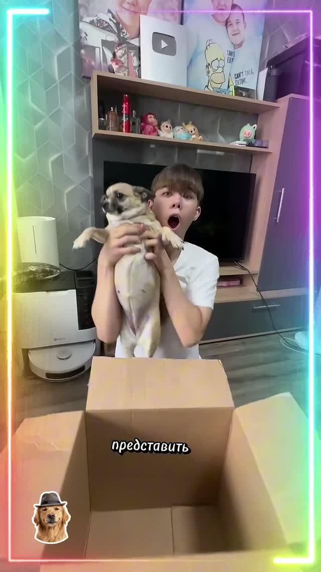 Что же было в коробке? 😱