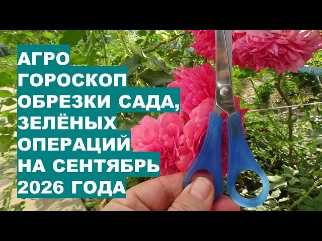 Сентябрь 2026: Самые Лучшие Дни для Обрезки Садовых Растений и 