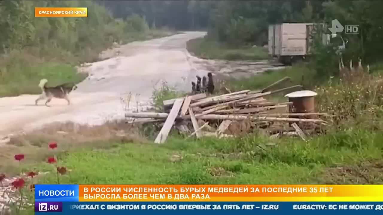 Сбили ракету из пулемета / Канье Уэст не приедет? / Медведи атакуют / РЕН Новости 25.08, 12:30