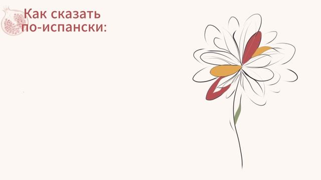 Поиск лучших мест в Испании: 8 фраз для кафе, ресторанов и тихих кварталов