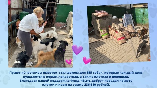«Пушистое добро» для бездомных животных ЛНР