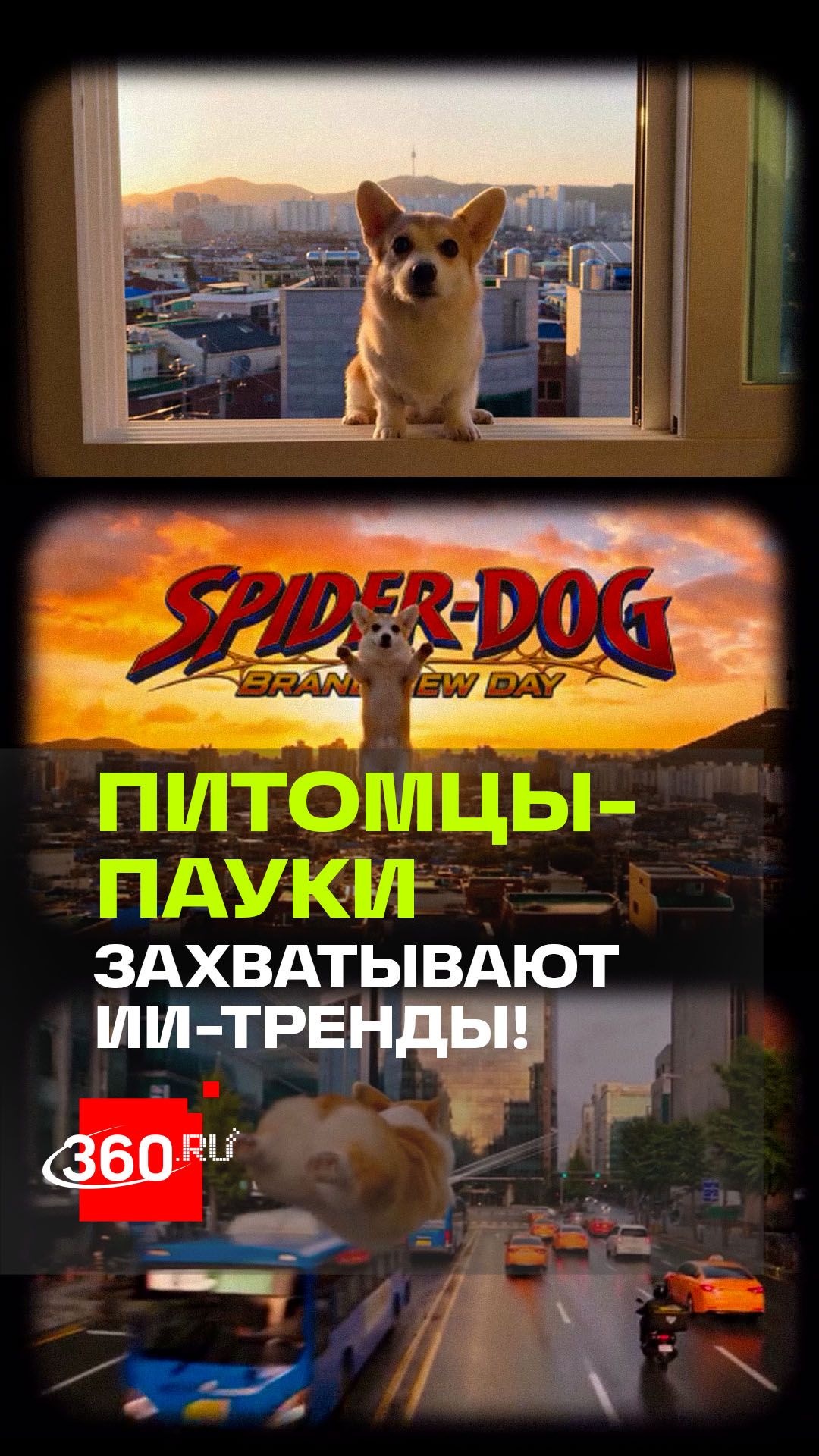 Собака-паук: наследие «Человека-паука» не обошло домашних питомцев стороной