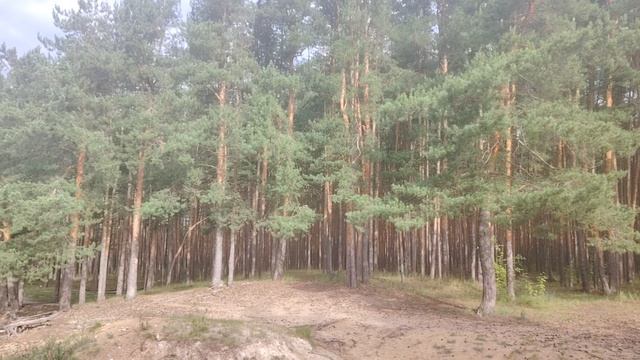 Жизнь по будильнику