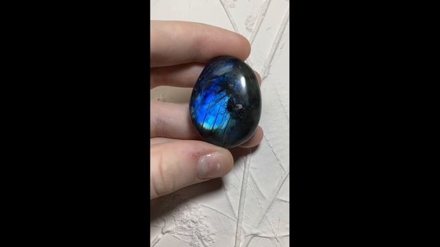 Лабрадор гладкая галька