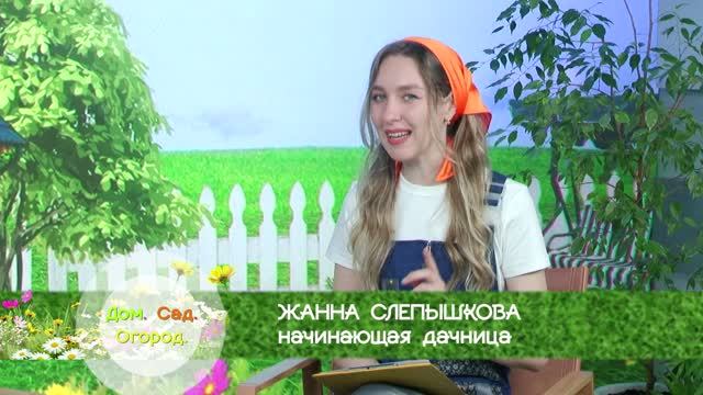 Дом. Сад. Огород. Сезон №2. Выпуск №2. Как ухаживать за огородом в жару?