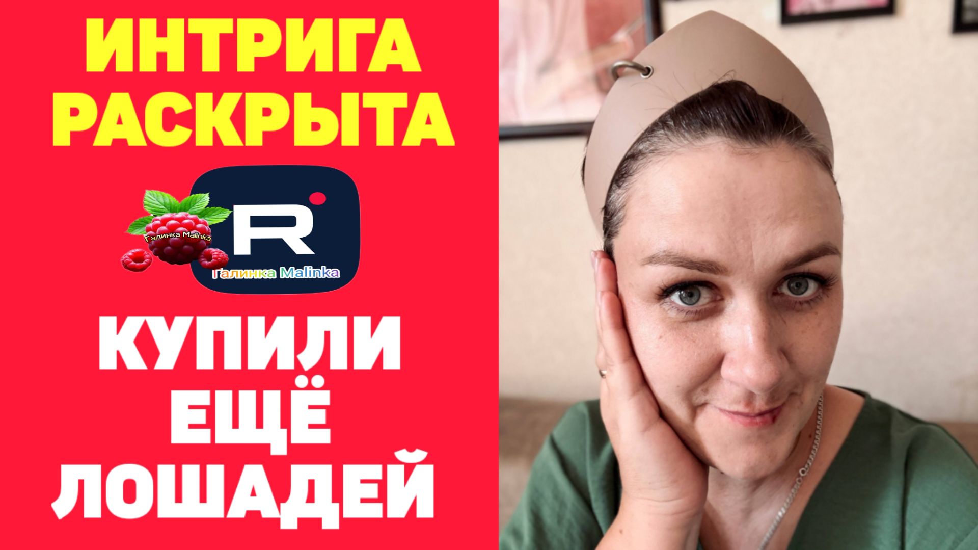Интрига Раскрыта /Купили Еще Лошадей /Деревенский дневник очень многодетной мамы Обзор