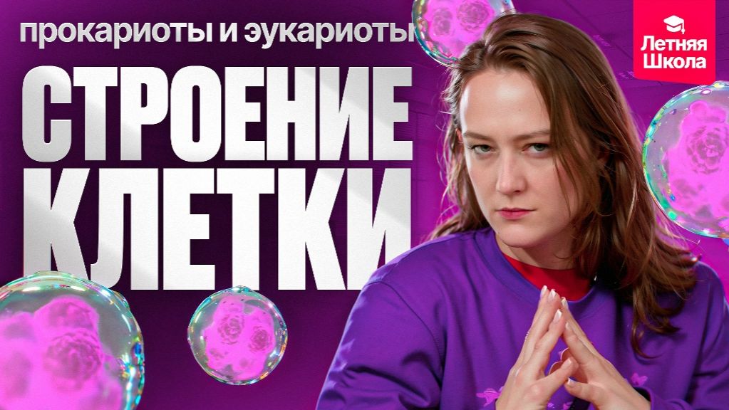 1. Строение клетки. Прокариоты и эукариоты | Stepenin.ru