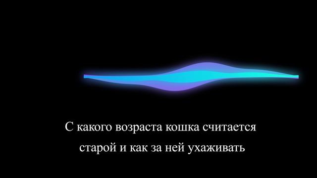 С какого возраста кошка считается старой и как за ней ухаживать