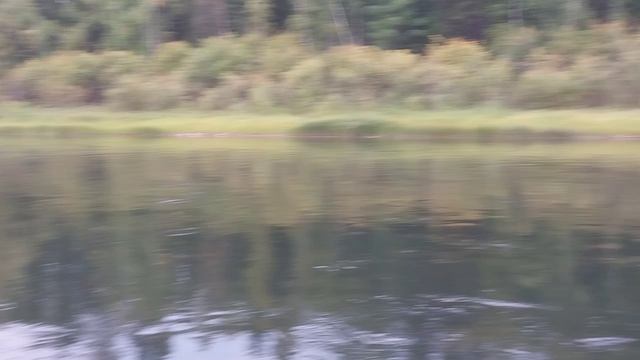 1000062279.mp4
