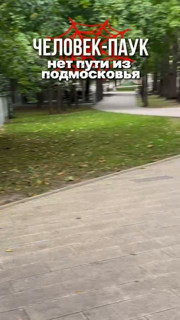 #человекпаук#рек#marvel