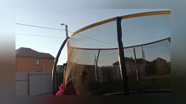Выживаем в любимых цветах друг друга 