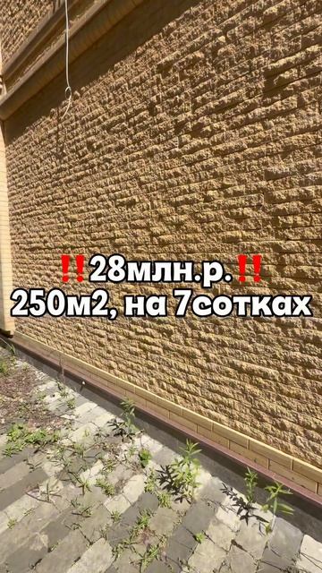 Copy_A86DDBBD-25FA-4591-898B-C68C04980D15