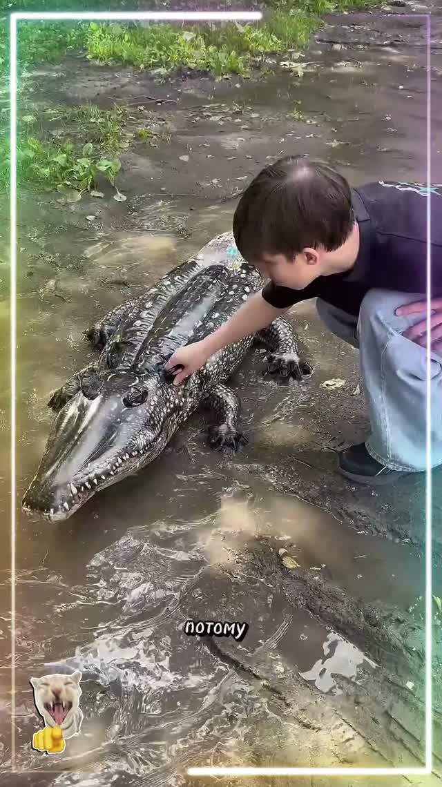 А что едят крокодилы?🐊