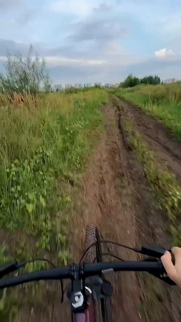 20 июля 2026 г.