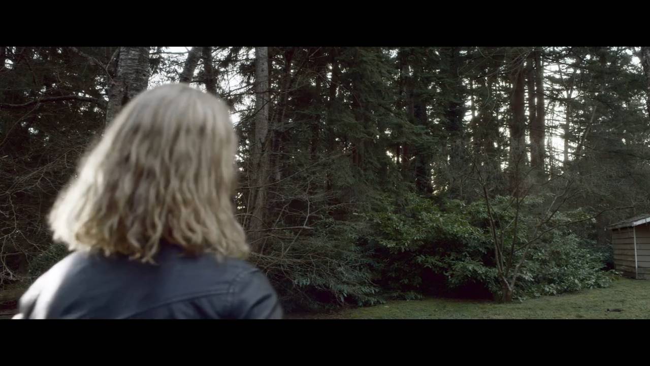 Дитя тьмы (2017) / The Hollow Child