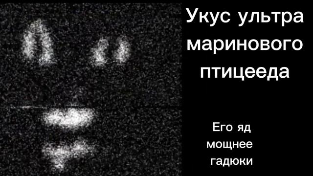 Трейлер к видео жуткие ситуации