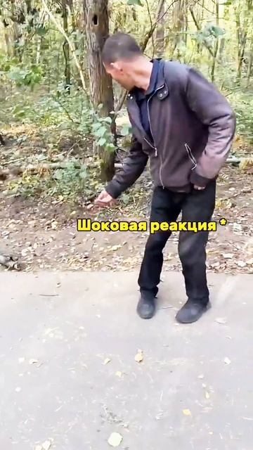 Белка пришла😂