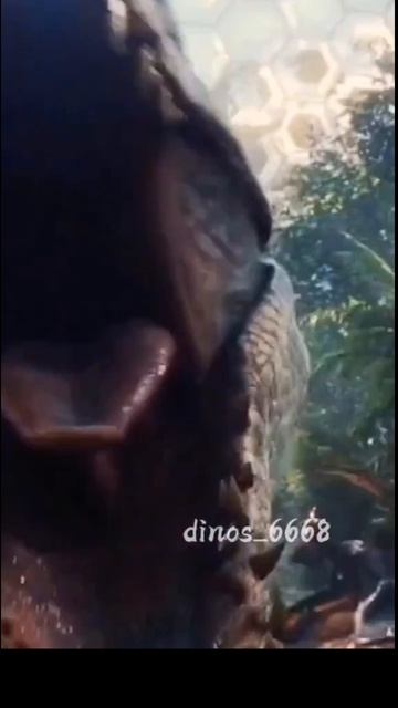 1000027185.mp4