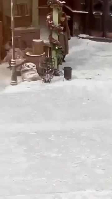 Атмосфера сказочного зимнего Петербурга на съёмочной площадке в августе.