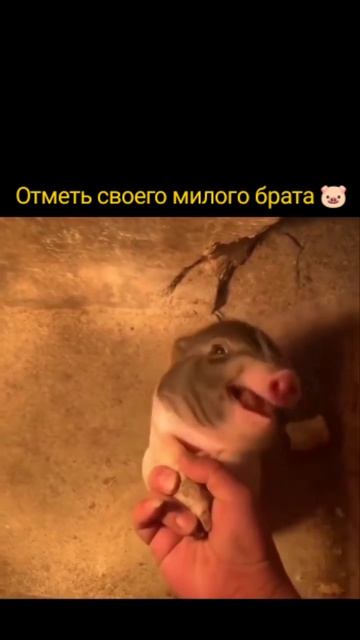 VID_20260824_165656_282_bsl