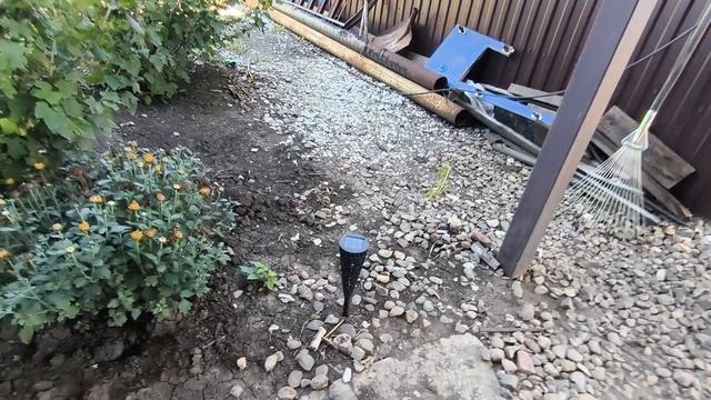 фонариков много не бывает,купила туи  25-08-2026