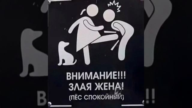 Дарю хейтерам аватарку😁
