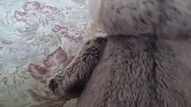 летний день с басиками едим блины