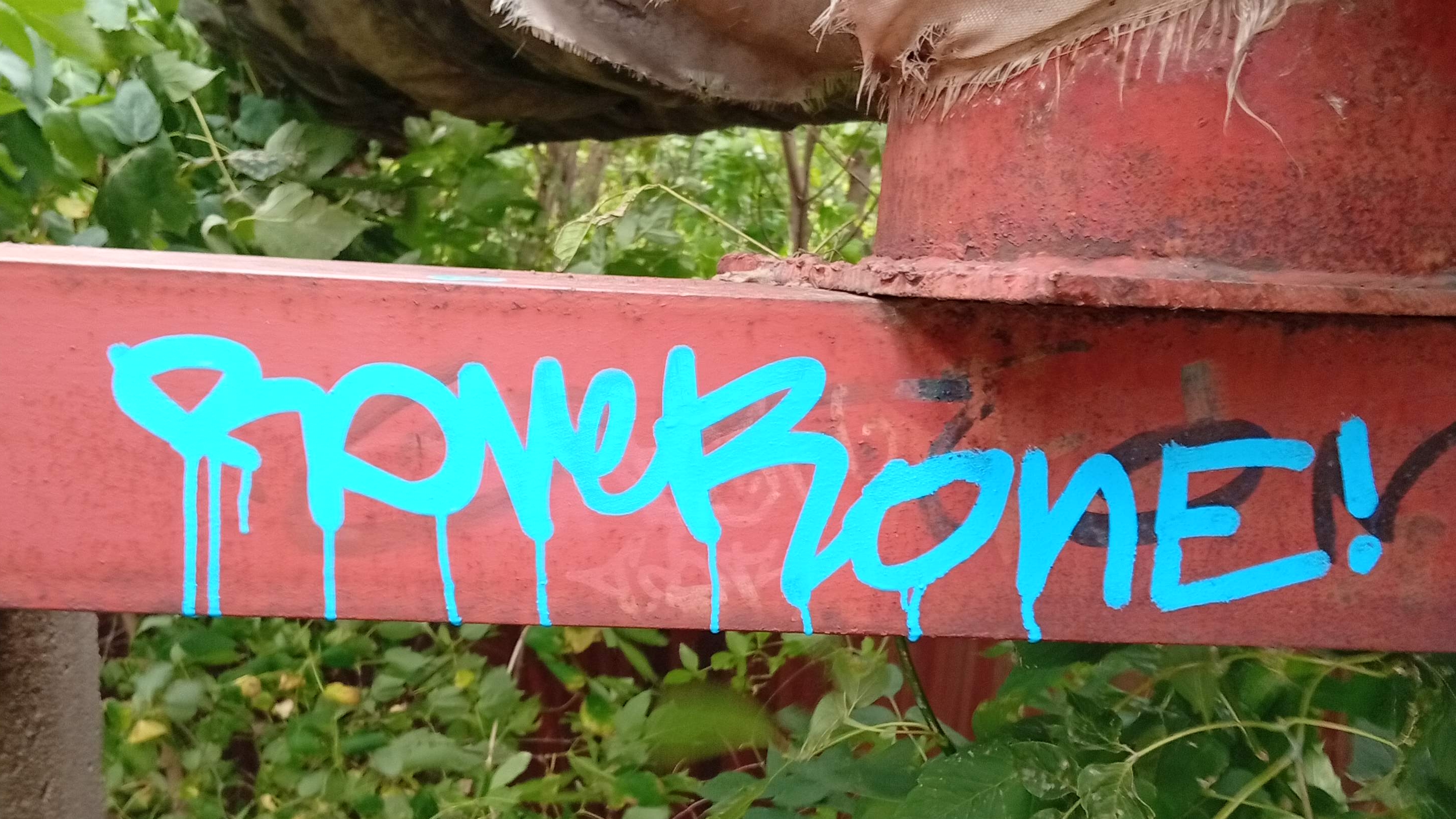 Tagging In Kostroma By Alsiti Squizer