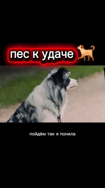 Фильм: 