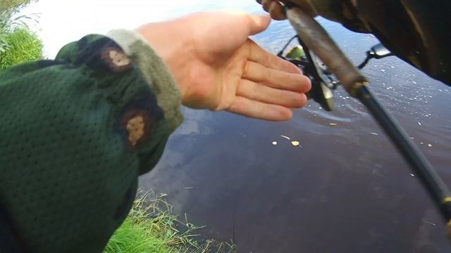 РЫБАЛКА В КУВШИНКАХ НА ЛЯГУШКУ. Не Ожидал Поймать Тут Таких Щук. Рыбалка 2026