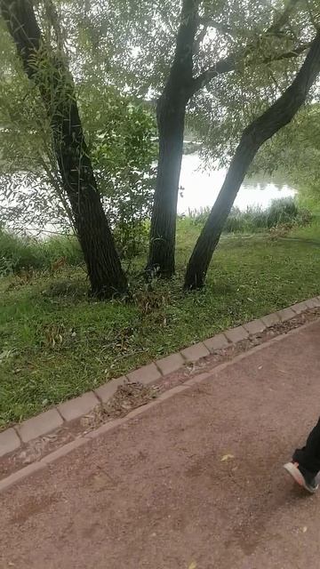Интервью