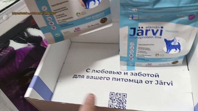 Каким кормом кормить мопса