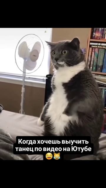 Танцы