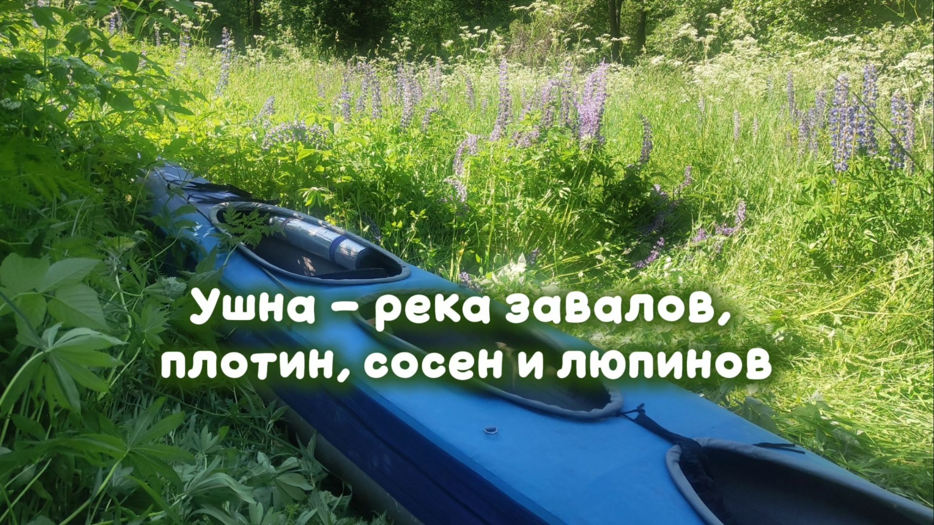Ушна - река завалов, плотин, сосен и люпинов