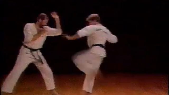 Ашихара Каратэ - базовая техника _ Ashihara Karate
