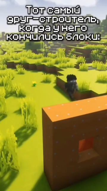 тот самый друг строитель когда у него закончились блоки|Minecraft