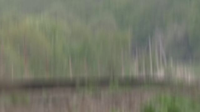 Эдит ра1