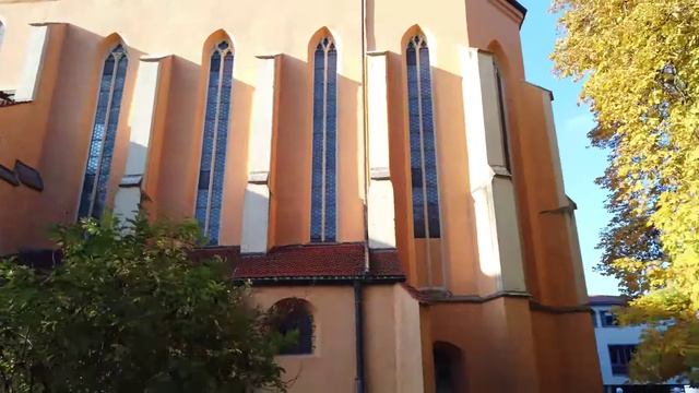 КОЛОБОК ИЗ ОДЕССЫ - ОДЕССКИЙ БРОДЯГА Я В ШОКЕ ОТ ЧЕРНОГОРИИ ❗ ЖИТЬ ТАМ НЕ ВОЗМОЖНО ❗