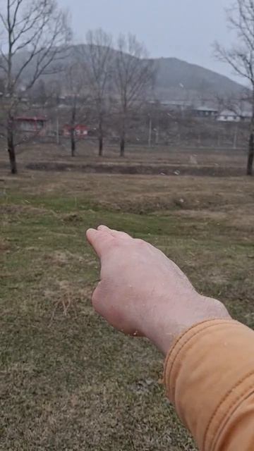 Никифорова 61 чарышское