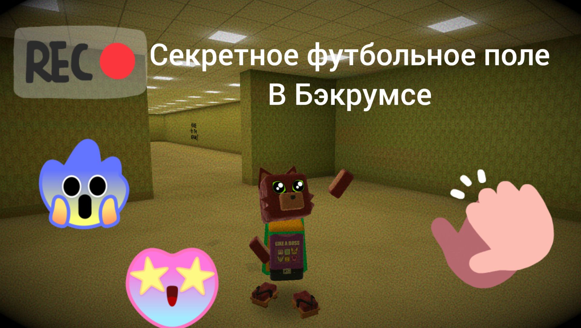 Секретное футбольное поле в Бэкрумсе в Супер Беар Адвенчер