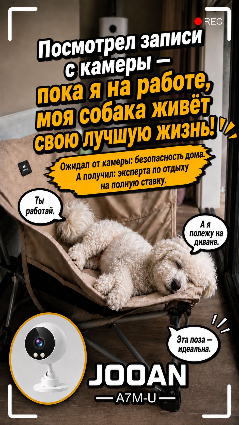 Проверил камеру с работы — моя собака совершенно измотана… от дневного сна. 🤣🐾