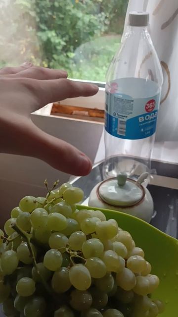 вноград