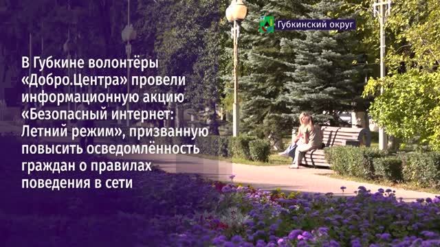 В Губкине волонтёры «Добро.Центра» провели информационную акцию «Безопасный интернет: Летний режим»