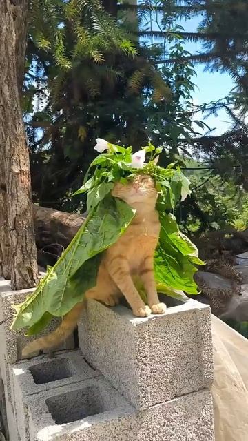 Сегодня отмечается День любви к себе ❤️  Не забудь побаловать себя любимого