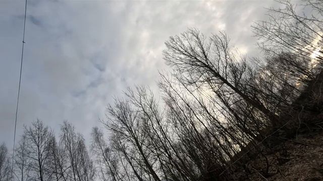 красивая природа около ручья
