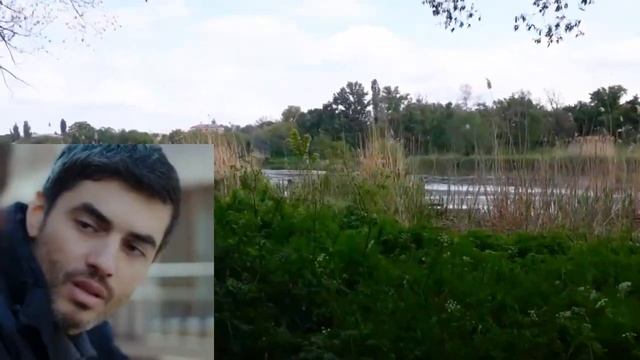 Доверенное 772 серия на русском языке. Анонс