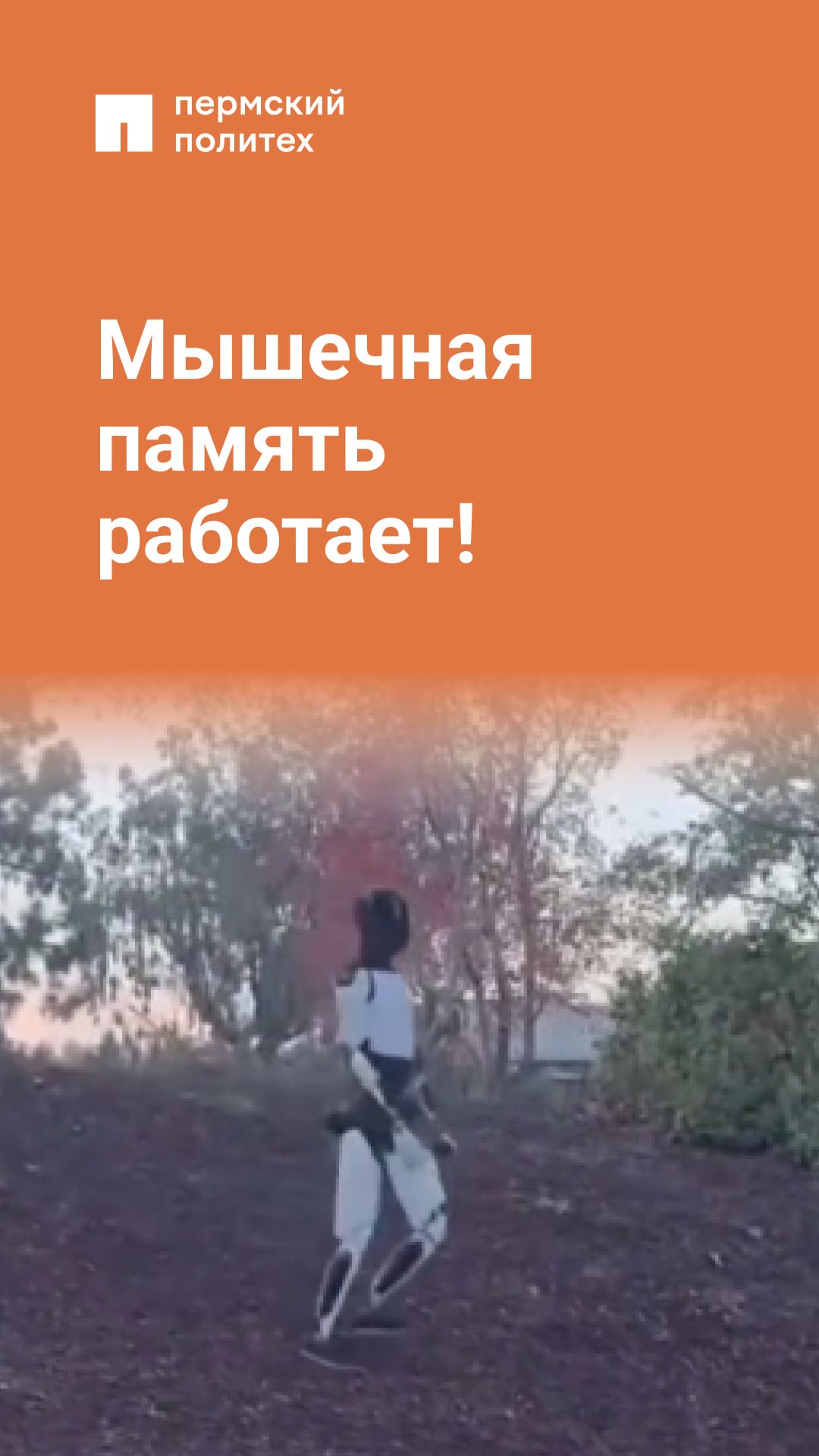 Мышечная память работает!