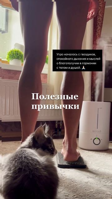 Полезные привычки